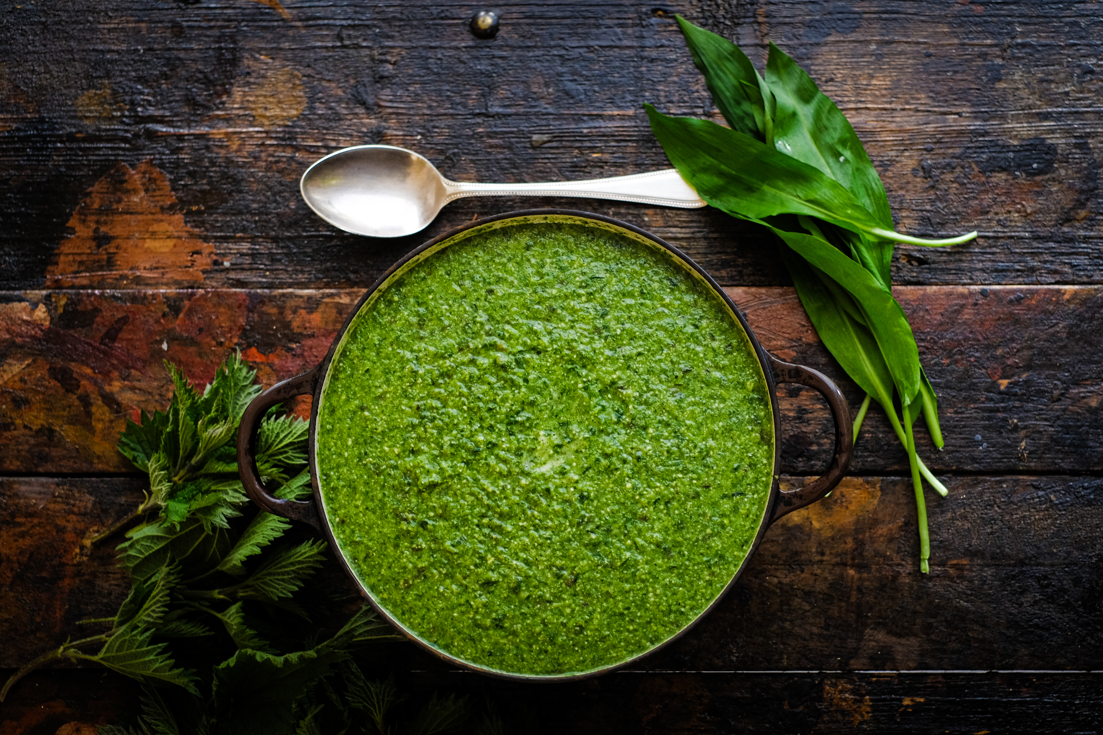 Delicious Spring Recipes from Foraged Ingredients